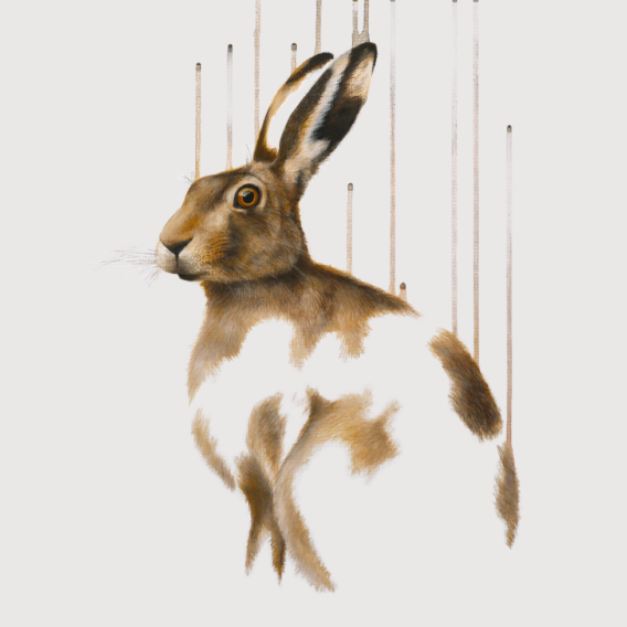 Louise McNaught Divine Lunatic (unframed) Polar Hare Animal Art for sale