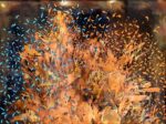 Paul Fearn The Coral Sea II metal sea wall art